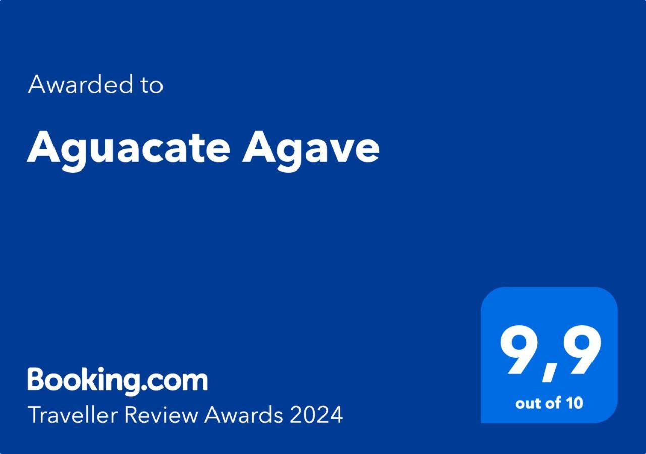 蒂锡利维Aguacate Agave With Private Swimming Pool别墅 外观 照片